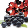 Polpa de Açai Mix